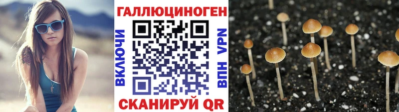 Галлюциногенные грибы мухоморы  Купить  Ухта 